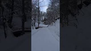 北海道札幌市, 滝野すずらん公園。冬の雪道お散歩。walking snow road in winter park in Sapporo, Hokkaido