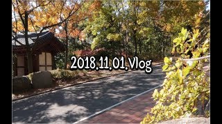 선용의 Vlog #16 [선용의 근황에 대하여]