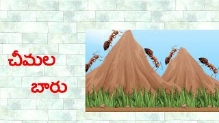 చీమల బరు lesson in telugu(chimalabaru lesson in telugu