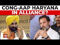 Haryana Assembly Polls: Congress-AAP Alliance Talks, Vinesh Poghat's Haryana Polls Bid