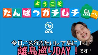 【どうぶつの森配信】 今日こそ行きたいレア島に！離島巡りDAYです！！たんぱつガチムチ島での生活156日目の前髪系