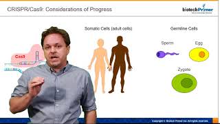 Kevin Curran PhD Germline vs Somatic Cell Modification