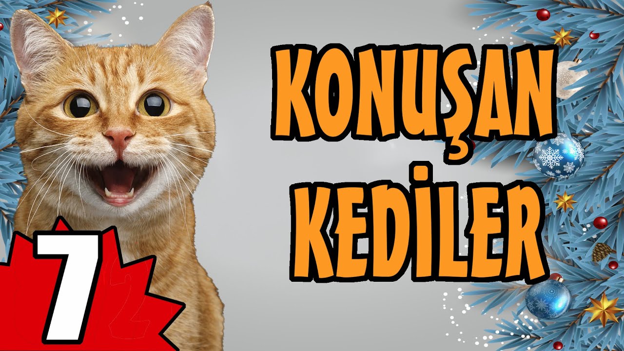 Konuşan Kediler 7 - En Komik Kedi Videoları - YouTube