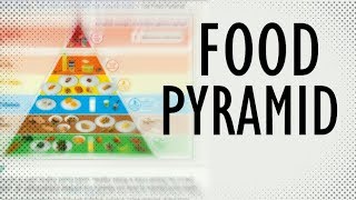 What is the Food Pyramid? Food Pyramid explained in 2 Minutes!