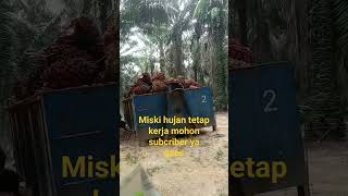 berjuang meski hujan