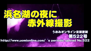 浜名湖の夜にカサゴとメバル【水中動画の定期更新No.522】