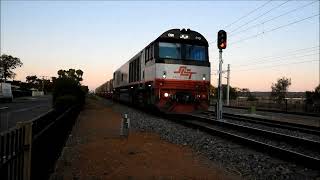 SCT Logistics Steel Loading 1160S CSR013 at dusk in Greenfields, South Australia 23/11/22