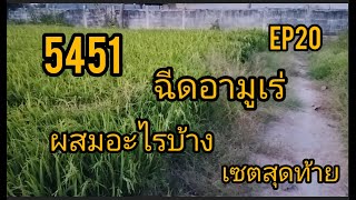 ข้าว5451ฉีดยาอามูเร่รวงแบบไหนยาอะไรep20