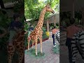 Curious Giraffe Gives Kiddo Kisses || SAM playing with Giraffe || #shorts#ytshorts#viral#trending