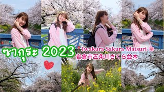 [Vlog]4 พาไปชมซากุระสวยๆใกล้ๆนาโกย่า ที่แม่น้ำโกะโจ เมืองอิวะกุระ岩倉市五条川さくら並木| Benzzbenzbenzvlog 🎌