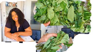 Happily unboxing my Fresh Nigerian Vegetables| Where to buy Fresh NigerianVegetables in Germany 🇩🇪