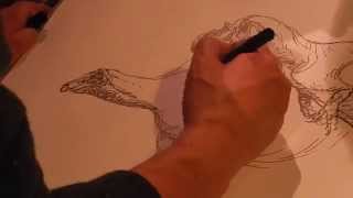 Live Drawing of Dinosaur (Takashi Oda)