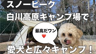 スノーピーク白川高原キャンプフィールドで愛犬とのびのびキャンプ！キャンプ初心者動画