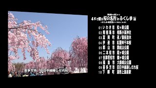 福島の桜より Ｖｅｒ.  4Ｋ～ 4Ｋで覩る桜の名所inふくしま選  その１ ～