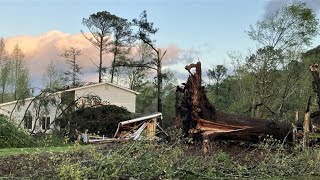 Tornado uproots large trees, downs power lines across Rockdale County in Conyers, Georgia