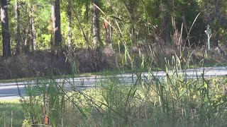 Missing woman found dead in Sumter County