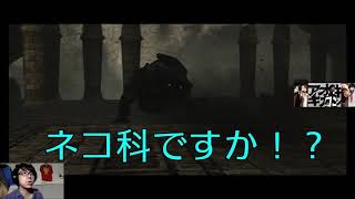 アオキキカンの「ワンダと巨像」十一体目