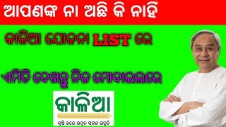 ଓଡିଶା କାଳିଆ ଯୋଜନାରେ ଆପଣଙ୍କ ନା ଅଛି କି ନାହିଁ କିପରି ଦେଖିବେ||how to check your