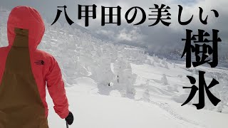 【八甲田山】THE DAY!!ついにカモシカコースへ進出っ！#75