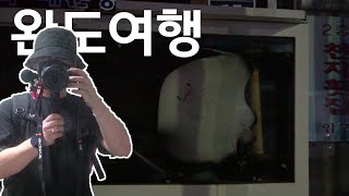 서울사는 완도놈 반년만에 고향방문 | 완도여행. part 1