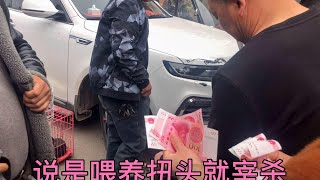 姑娘說不賣給狗販子，殊不知扭頭就是狗肉館，這就是成年狗的結局