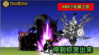 貓咪大戰爭  |  小地藏之旅#80  |  DNA與DHA  1貓攻略