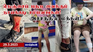 நெஞ்சைப் பதறவைக்கும் நாய்க்கடி சம்பவங்கள்! | MALAYSIA TAMIL NEWS | 29.3.2023