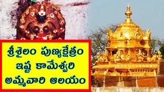 Srisailam Temple - Ista Kameswari Temple - Forest - AP Temple Tourism - ComeTube Exclusive Video