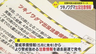 人の手入らなくなった里山に定着か…石川県が過去最も早く『ツキノワグマ出没注意情報』出没相次ぎ