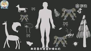 生命的本质是什么？6分钟速读《自私的基因》