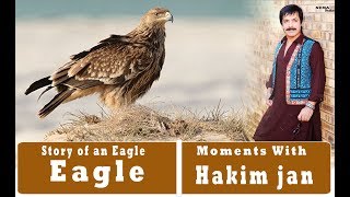 Story of Eagle  داستان آموز نده زندگی عقاب