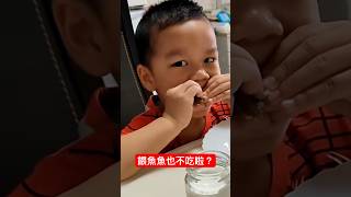 餵魚魚也不吃啦？@kinsirmumu #shorts #親子 #育兒 #實境秀#funny#cute