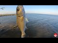 magnificent surface seabass legendary wtd bass fake bass fishing