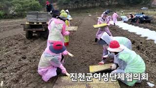 20201218 생산적일손봉사 진천군민운동 성과공유대회