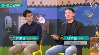 你不知道牠們有多聰明：鼠一鼠二的聰明