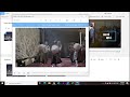 cách cắt video trên máy tính cắt video trên win 10