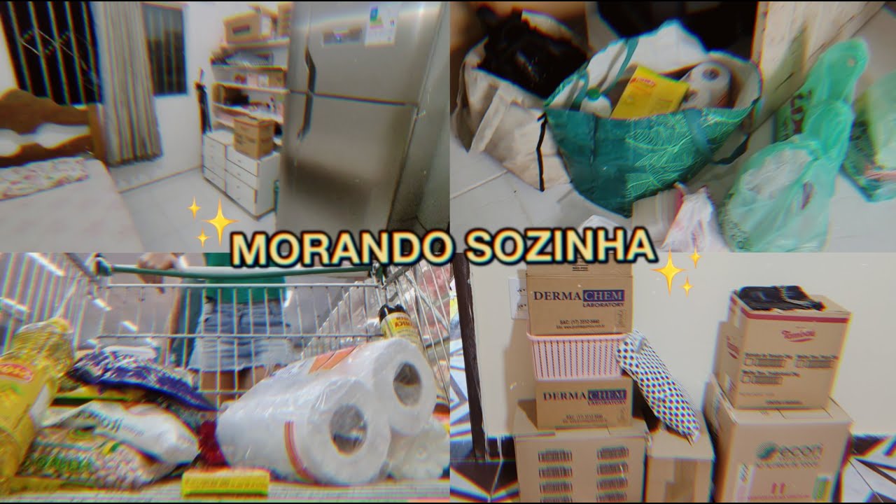 Vlog: MORANDO SOZINHA | Meu Primeiro Dia De Trabalho + Arrumando A Casa ...