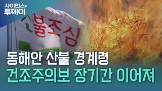 눈 없는 겨울, 메마른 동해안...대형 산불 경계령 / YTN 사이언스