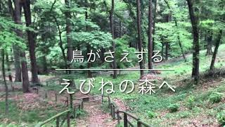 町田薬師池公園 四季彩の杜 えびね苑2021年4月20日開苑　鳥がさえずるえびねの森へ