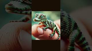 Before to after animal transformation #trending#short#cute #edit #tiktok#amarica#animal😱😱