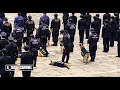 訓練士さん大好きな警察犬がかわいすぎるw 【2024】