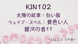 「ひと言マヤ暦」KIN102(2021.12.11） 白い風、黄色い人、音11。心が揺れたら、意図と動機に戻る。マヤ暦スーパーアドバイザー、健康運動指導士、カラーリストの鈴木早代子がお送りします。