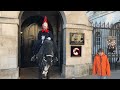 oi get out ’ king’s guard loses patience with tourist in the box