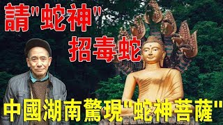 善惡必有報！中國湖南驚現“蛇神菩薩使者“，坐地畫圈，引毒蛇救人性命！