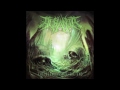 acrania auctioneer of depravity new song 2013