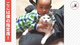 パパの膝上を赤ちゃんに譲らずに居座る猫さん【PECO TV】