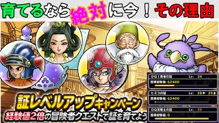 【DQMSL】AIで安定！１回で獲得経験値64500！冒険者の証は「今」育てる！周回場所とパーティー