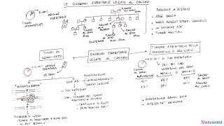 Le sindromi ereditarie legate al cancro