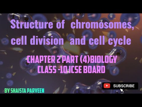 Structure Of Chromosomes |Cell Cycle |and Cell Division |class 10 Icse ...