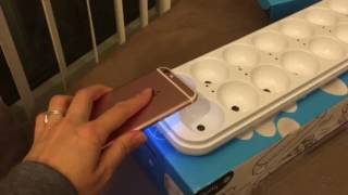 Quirky Egg Minder Setting